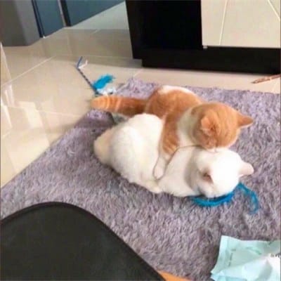 Paulo Avelino avatar