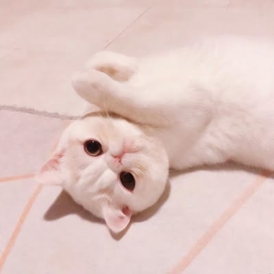 Risa Hontiveros avatar