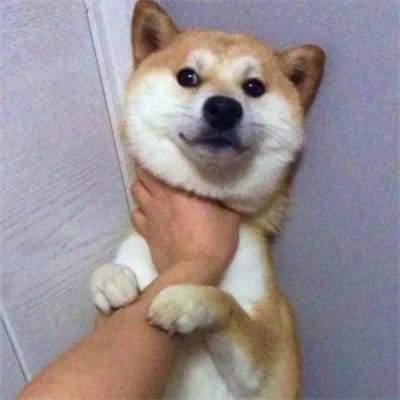 Catriona Gray avatar